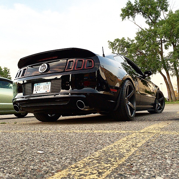 What did you do with your Mustang today?*-image.jpeg