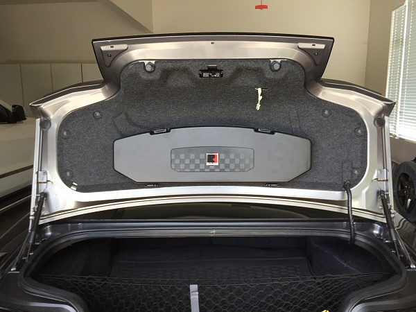 What did you do with your Mustang today?*-image.jpeg