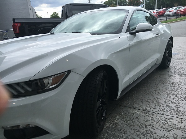 What did you do with your Mustang today?*-photo901.jpg