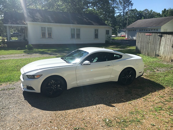 What did you do with your Mustang today?*-photo324.jpg