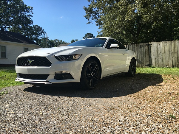 What did you do with your Mustang today?*-photo768.jpg