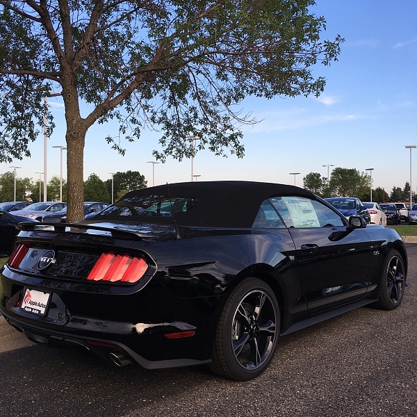 What did you do with your Mustang today?*-image.jpeg