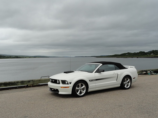 Nova Scotia &amp; Maine Mustang June Vacation-nova-scotia-maine-vacation-036.jpg