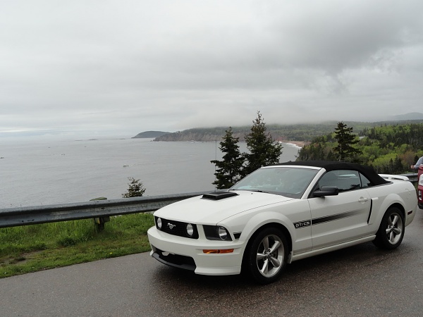 Nova Scotia &amp; Maine Mustang June Vacation-nova-scotia-maine-vacation-114.jpg