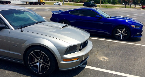 What did you do with your Mustang today?*-photo756.jpg