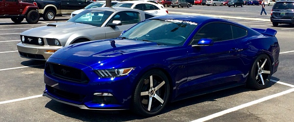 What did you do with your Mustang today?*-photo546.jpg