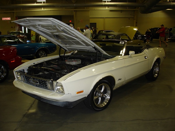 Quite a few Mustangs at Asheville auction yesterday-dsc01430.jpg