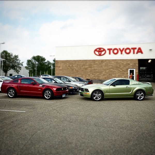 What did you do with your Mustang today?*-image.jpeg