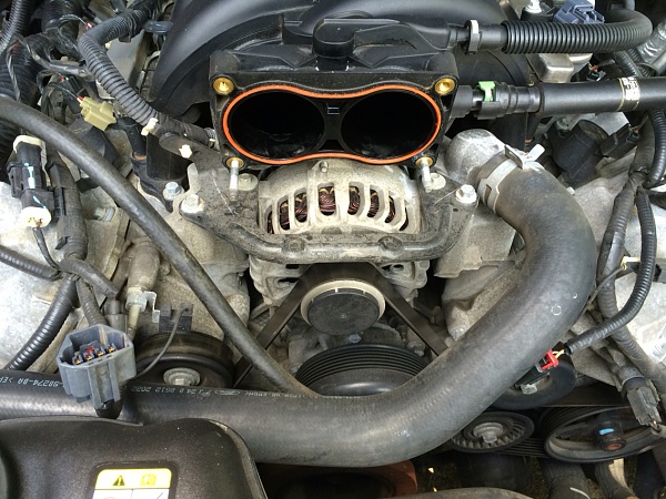 What did you do with your Mustang today?*-photo569.jpg