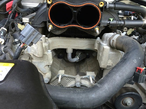 What did you do with your Mustang today?*-photo965.jpg