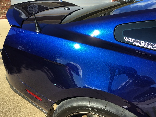 What did you do with your Mustang today?*-photo494.jpg