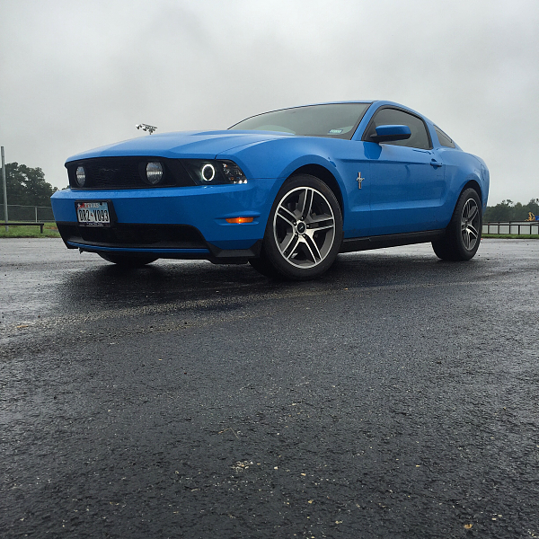 What did you do with your Mustang today?*-image-66418548.png