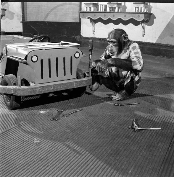 Name:  photo946.jpg
Views: 435
Size:  181.7 KB