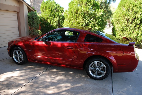 What did you do with your Mustang today?*-309.jpg