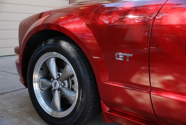 What did you do with your Mustang today?*-312.jpg