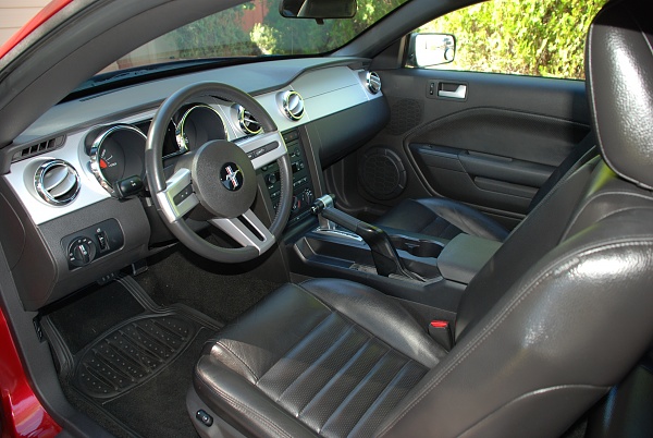 What did you do with your Mustang today?*-321.jpg