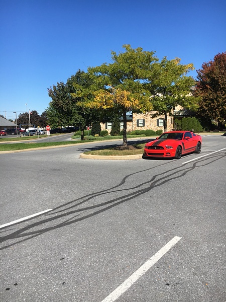 What did you do with your Mustang today?*-photo45.jpg