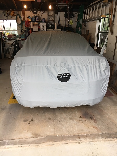 What did you do with your Mustang today?*-photo237.jpg