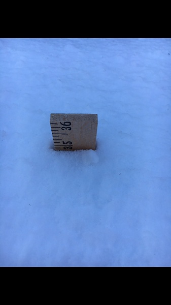 What did you do with your Mustang today?*-photo415.jpg