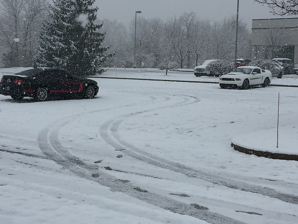 What did you do with your Mustang today?*-img_3029.jpg