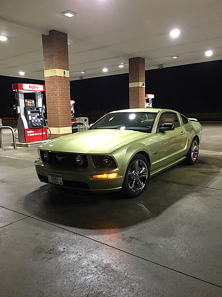 What did you do with your Mustang today?*-photo880.jpg