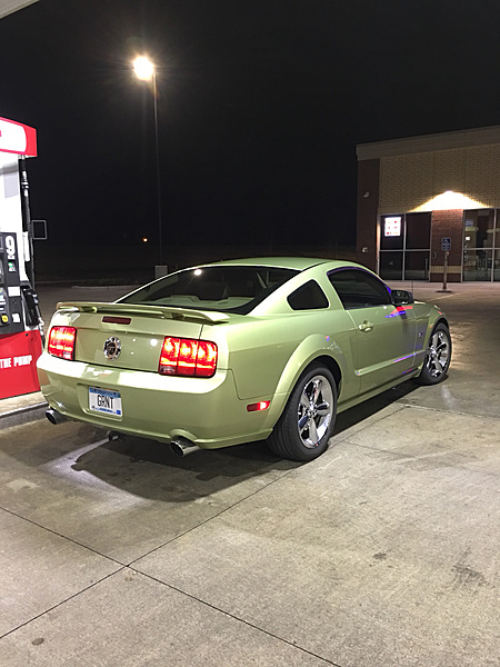 What did you do with your Mustang today?*-photo774.jpg