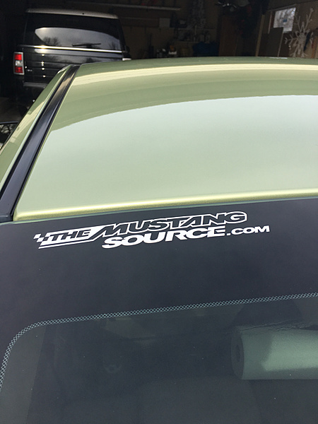 What did you do with your Mustang today?*-photo159.jpg