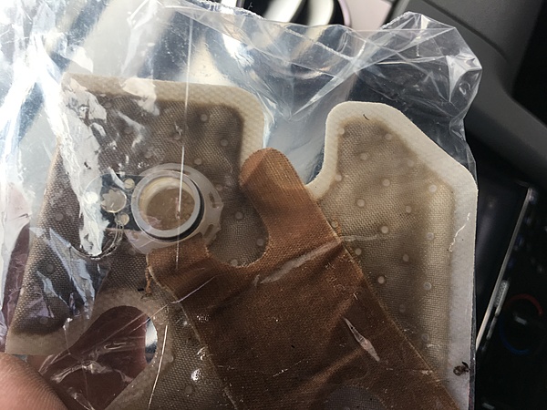 What did you do with your Mustang today?*-img_2032.jpg