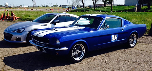 What did you do with your Mustang today?*-image.jpeg