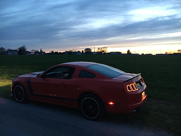 What did you do with your Mustang today?*-photo302.jpg