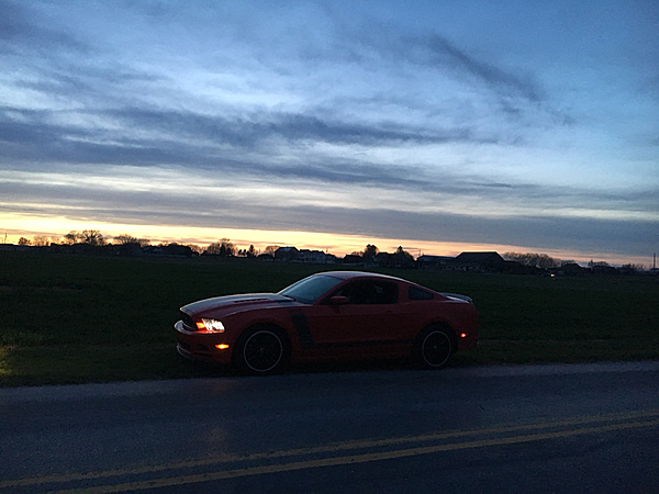 What did you do with your Mustang today?*-photo743.jpg