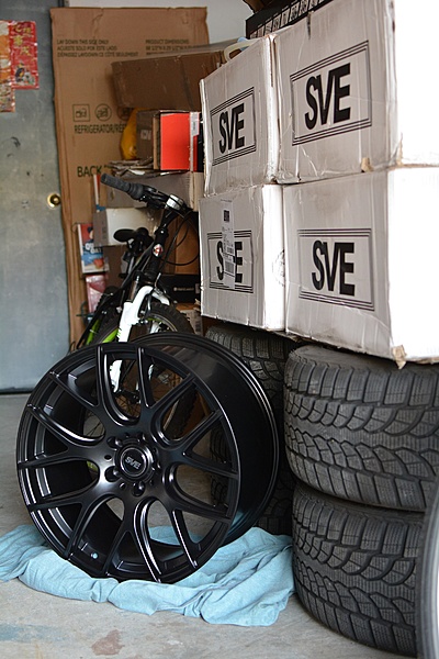 What did you do with your Mustang today?*-dsc_0110.jpg