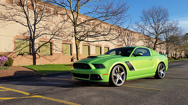 What did you do with your Mustang today?*-183048.jpg