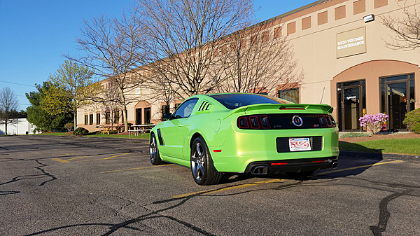 What did you do with your Mustang today?*-183109.jpg