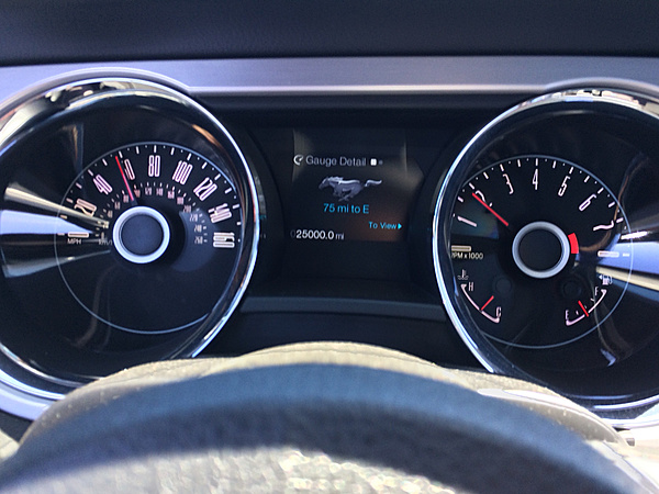 What did you do with your Mustang today?*-photo397.jpg