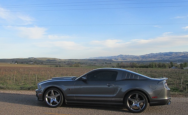 What did you do with your Mustang today?*-img_4339s.jpg
