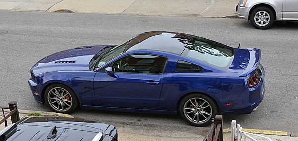 What did you do with your Mustang today?*-dsc_0376.jpg