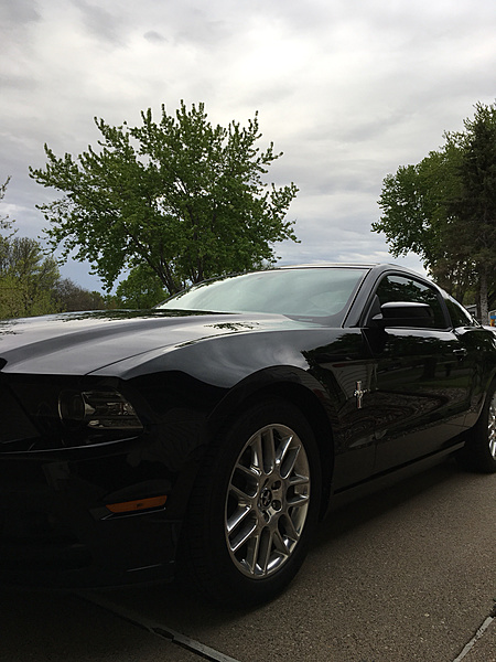 What did you do with your Mustang today?*-photo439.jpg
