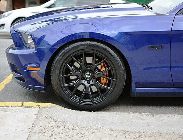 What did you do with your Mustang today?*-dsc_0562.jpg
