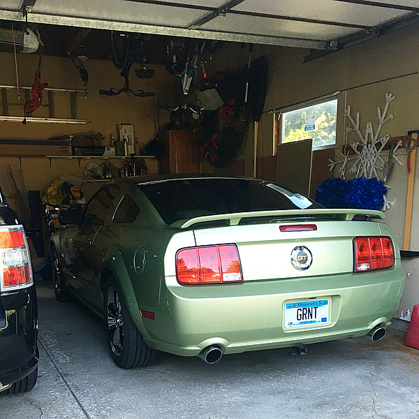 What did you do with your Mustang today?*-photo441.jpg