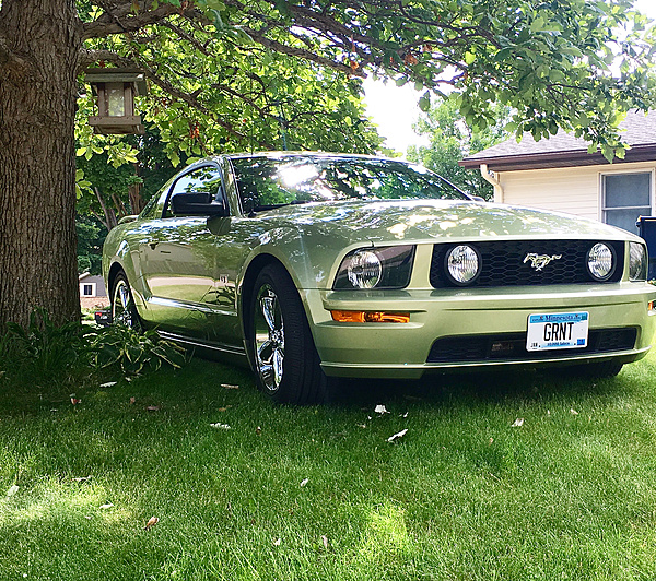 Mark's Mustangs-photo230.jpg