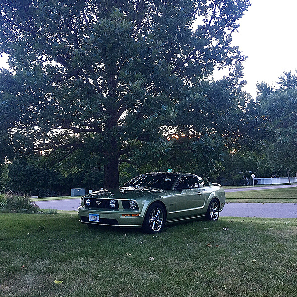 Mark's Mustangs - The Mustang Source - Ford Mustang Forums - Ford Mustang One Tree Hill