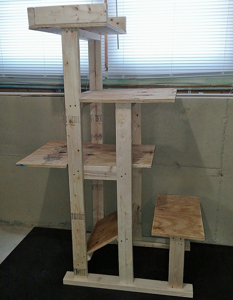 Name:  20170105_cat-tree.jpg
Views: 79
Size:  265.2 KB