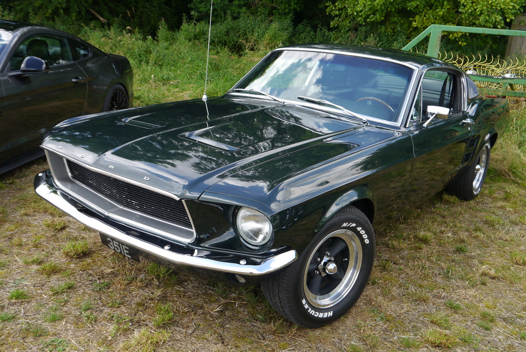 Name:  P1080345_zps3mqlvpev.jpg
Views: 175
Size:  358.0 KB