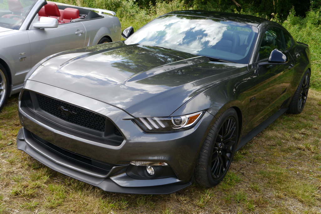 Name:  P1080346_zpsjxsgvoha.jpg
Views: 148
Size:  296.4 KB