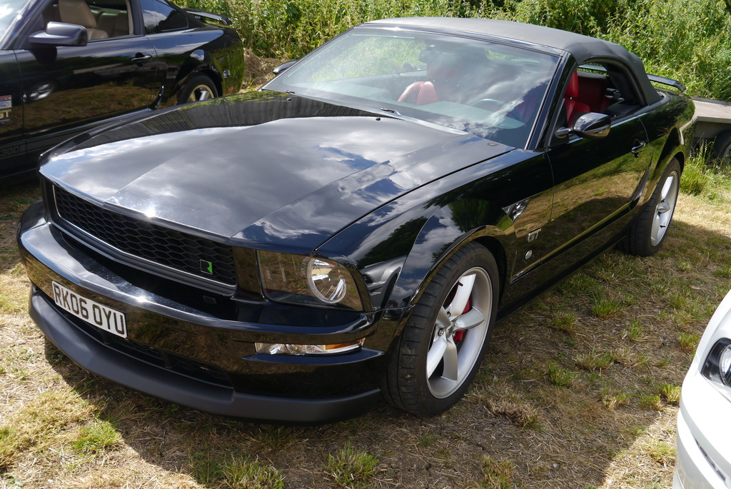 Name:  P1080348_zpsn2ixsul0.jpg
Views: 157
Size:  344.0 KB