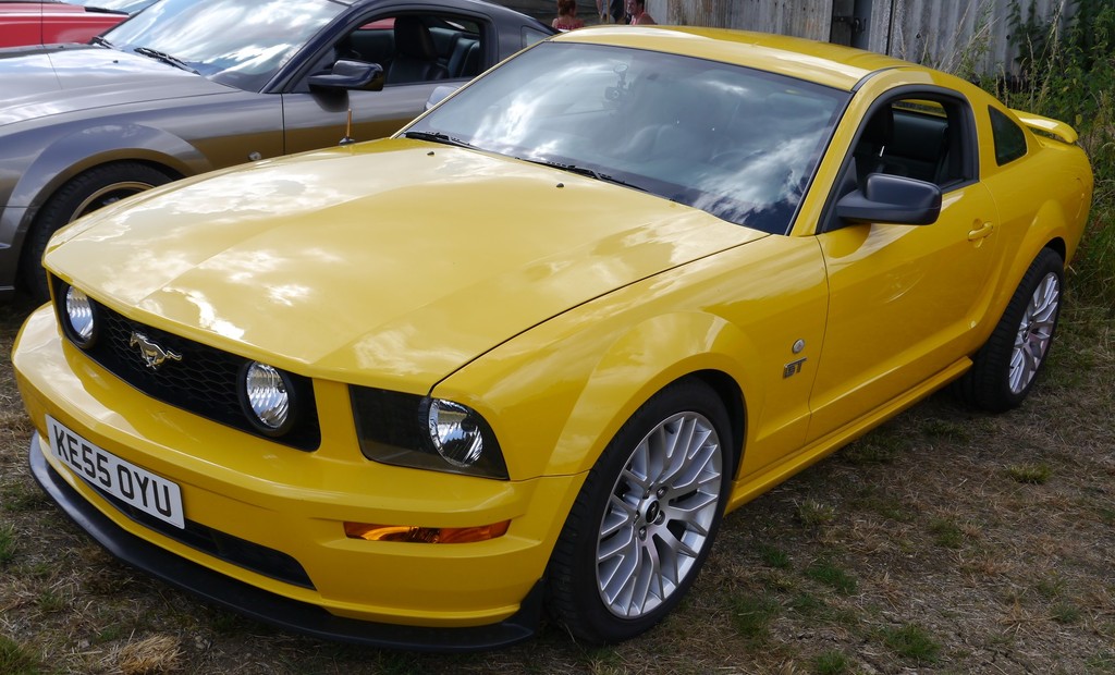 Name:  P1080352_zpsqpujf4sj.jpg
Views: 134
Size:  209.9 KB