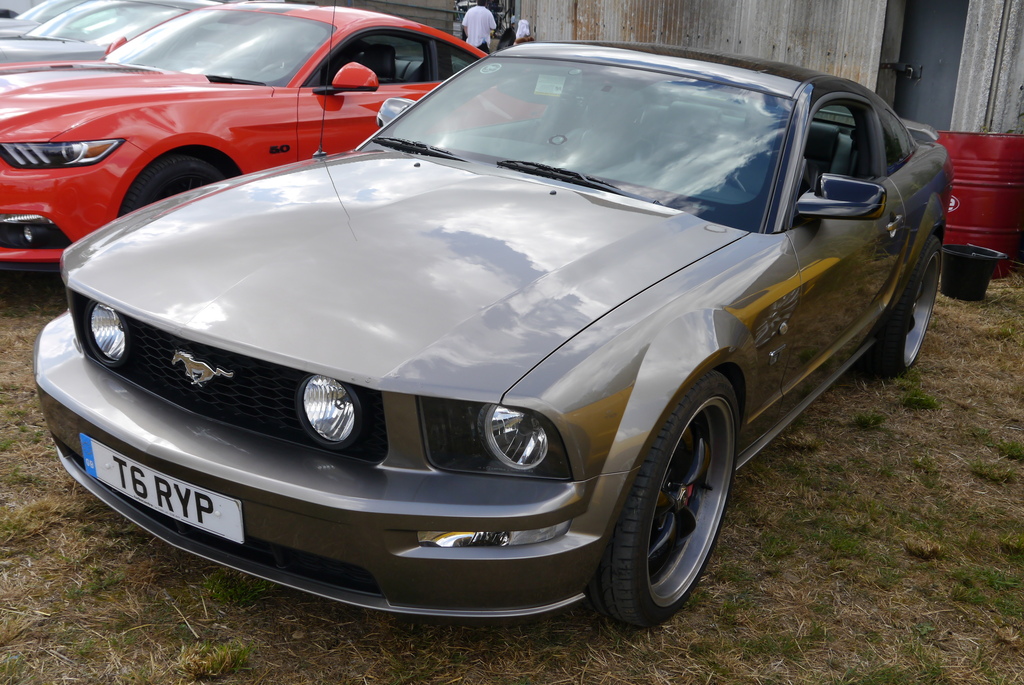 Name:  P1080353_zpsiequg37c.jpg
Views: 143
Size:  375.3 KB