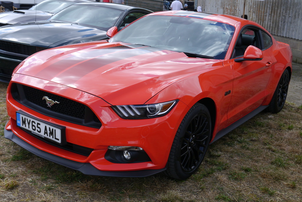 Name:  P1080354_zps3jdciqkp.jpg
Views: 156
Size:  266.7 KB