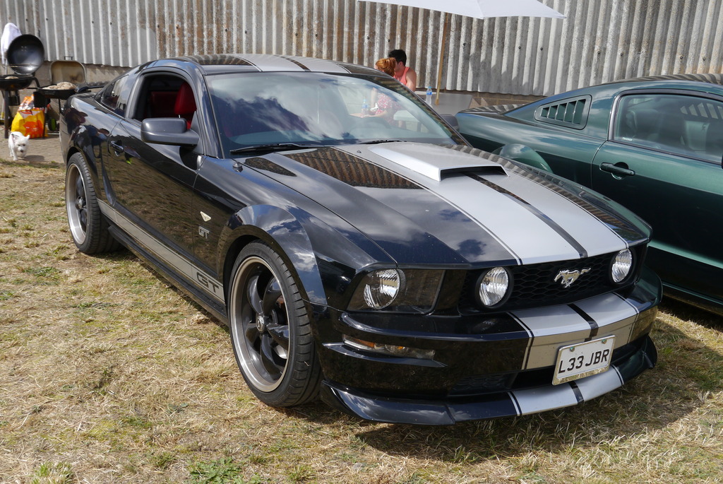 Name:  P1080356_zpsisoneqkk.jpg
Views: 145
Size:  324.2 KB